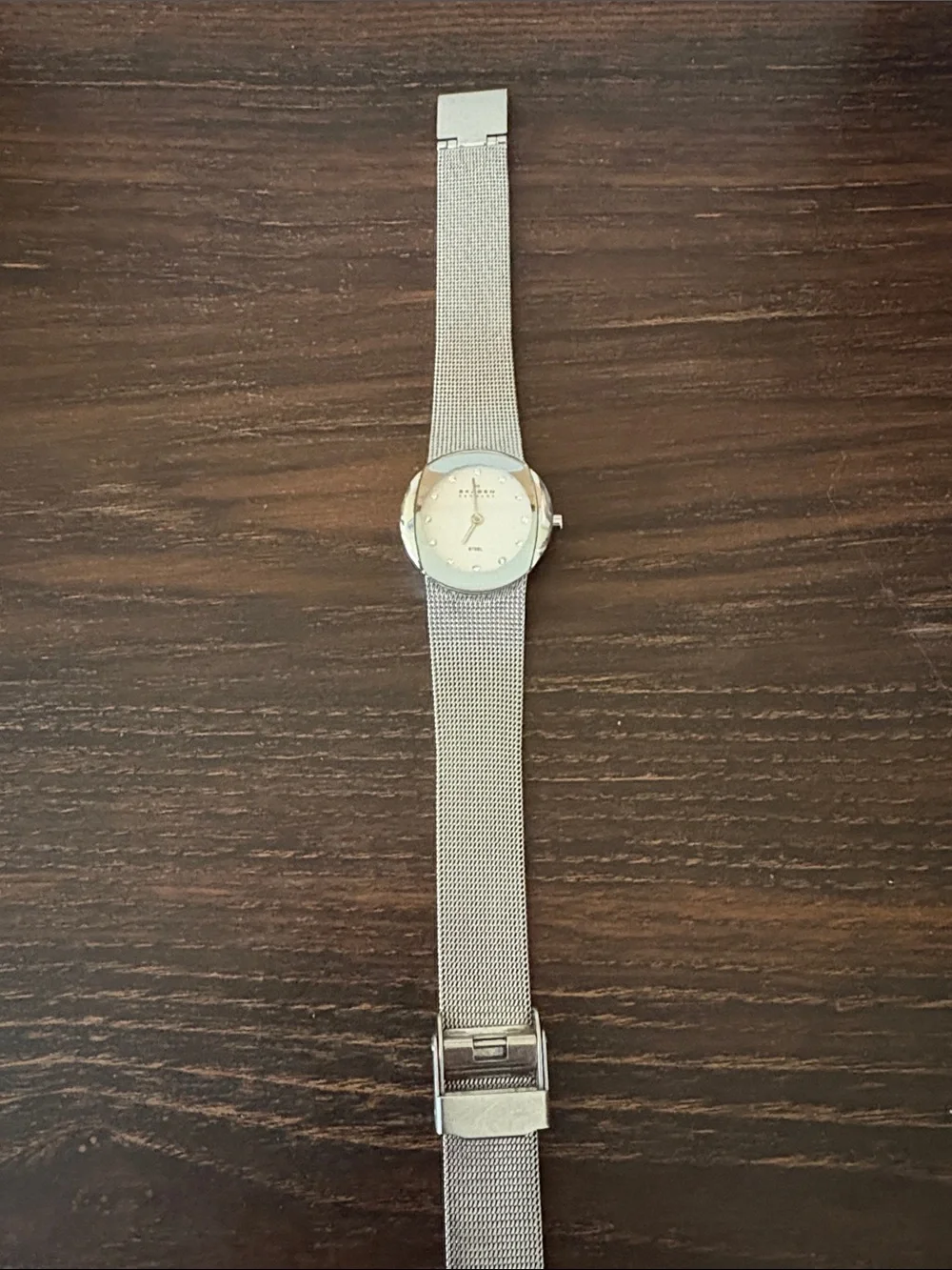 Skagen Stainless Steel Mesh Bracelet Watch